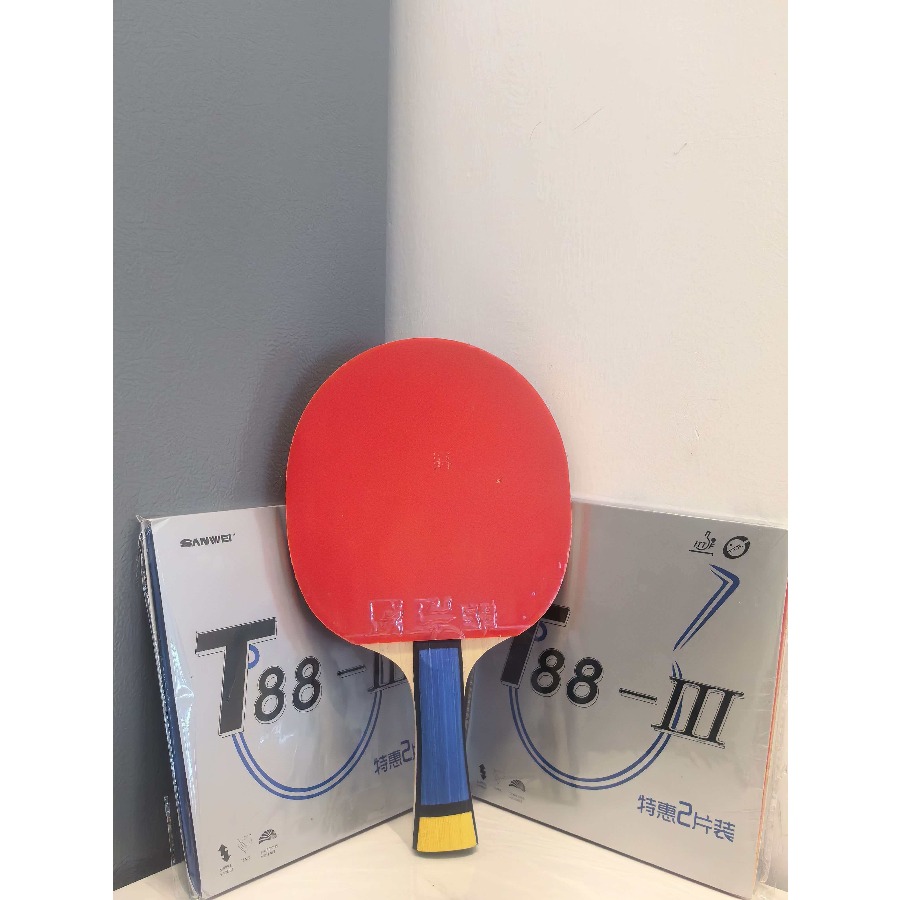 Set Fai-da-te per Racchetta da - Badminton Minion recensione e prezzo